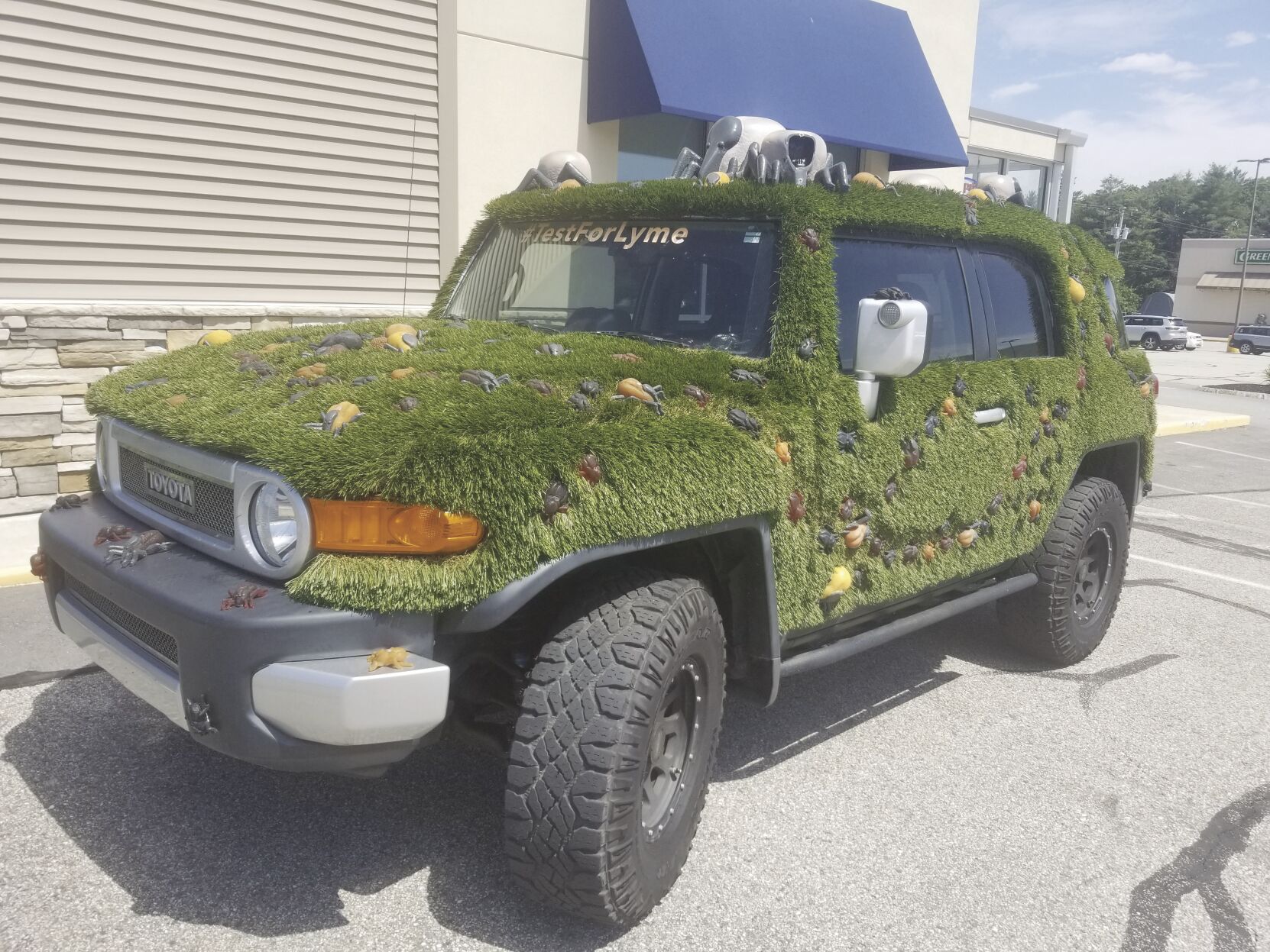 'Tick truck' brings a 15-minute test for Lyme